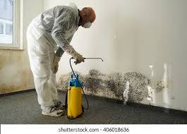 Best Residential Mold Inspection & Testing  in Timonium, MD